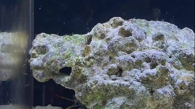 功夫足球有搞头吗～