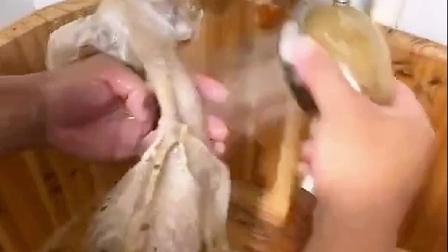 妈呀，跟你遭老罪了