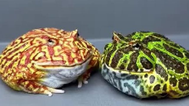 我最深爱的人，伤我确实嘴深