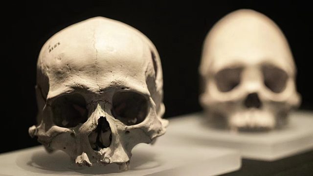 重回安第斯之印加文明