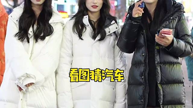 看图猜汽车猜对一个给100，你们能猜对几个