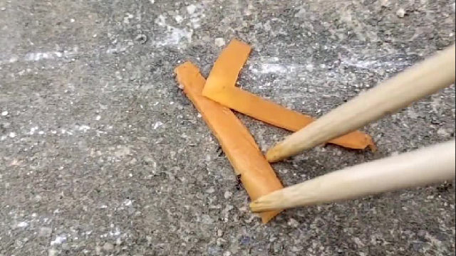 给你们换个带角的，看你们怎么拖进洞里