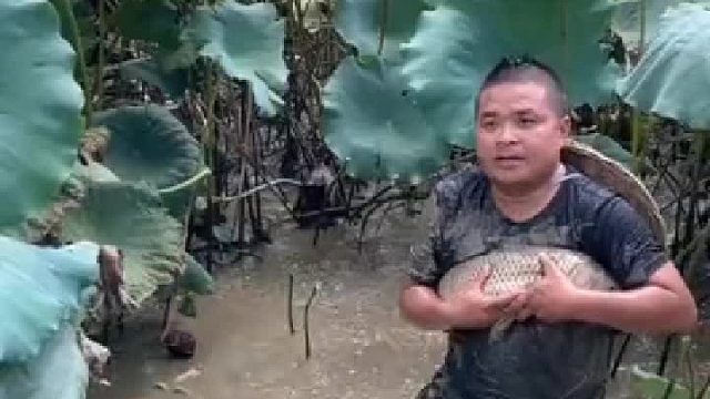 自己都不相信鱼会自投罗网