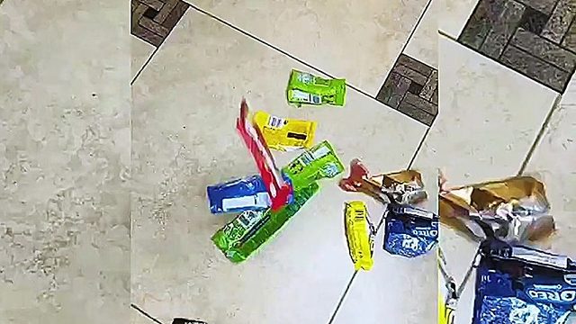 面对哥哥的挑衅，妹妹忍无可忍反击，终于把他制服了！