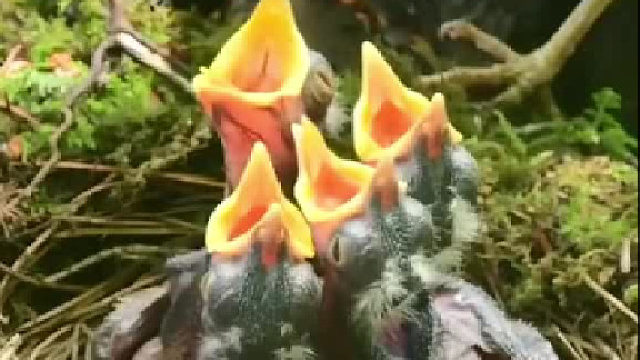 差点把老大噎死啊