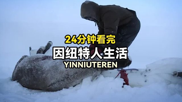 24分钟看完北极因纽特生活：捕捉豪猪驼鹿烧烤，因纽特人自制雪橇