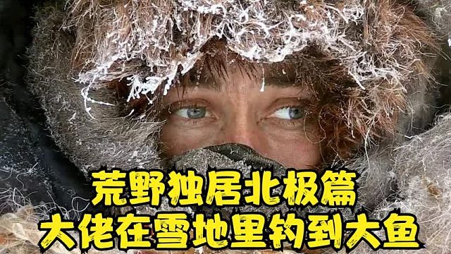 荒野独居北极篇：美女在厚厚的雪地里钓到两条超大的鱼