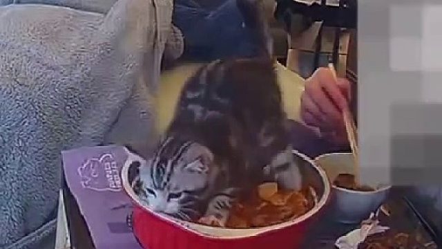 刚点了一份外卖，就这么眼睁睁没了