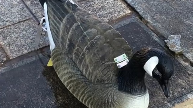 这速度是开挂了吧