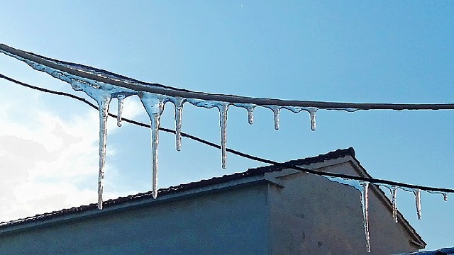 #雪玫瑰#张万森下雪了