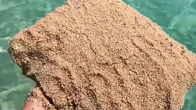 有没有一次全猜对的？