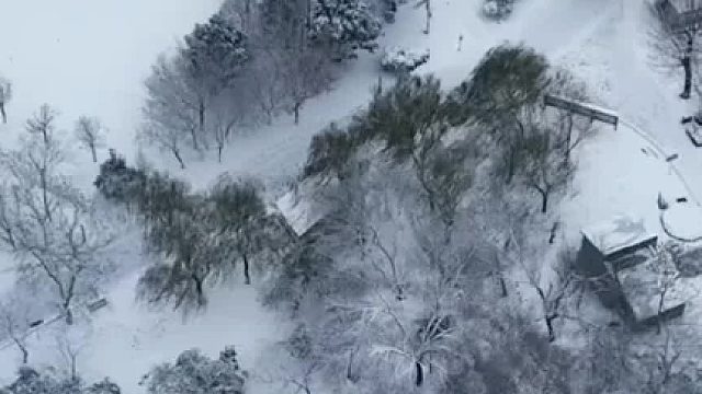 雪后公园景色犹如一幅水墨画 你的城市下雪了吗