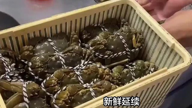 大闸蟹怎么保鲜存放？鲜活不减！大闸蟹保鲜存放小技巧，畅享海鲜