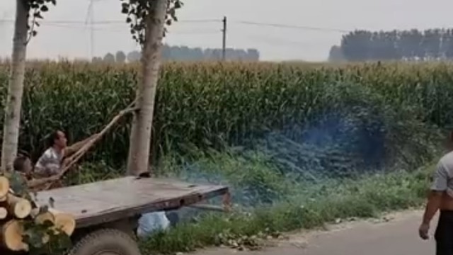 还有什么东西他们不抢的吗？