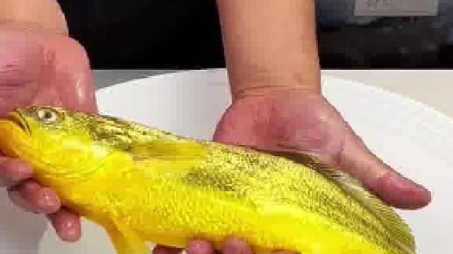 大黄鱼色泽金黄，俗称海中黄金