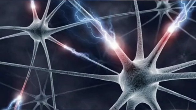 运动神经元可以分为主交感神经和副交感神经，而当两者之前失衡，运动神经便会无法正常传递运动讯号，这种情