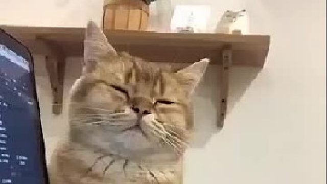 虽然很困，但还是想陪着你