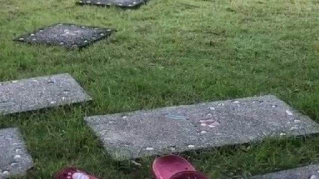 主人拿着梳子在地上轻轻敲打，橘猫听到后竟乖乖走过来躺在地上梳毛....