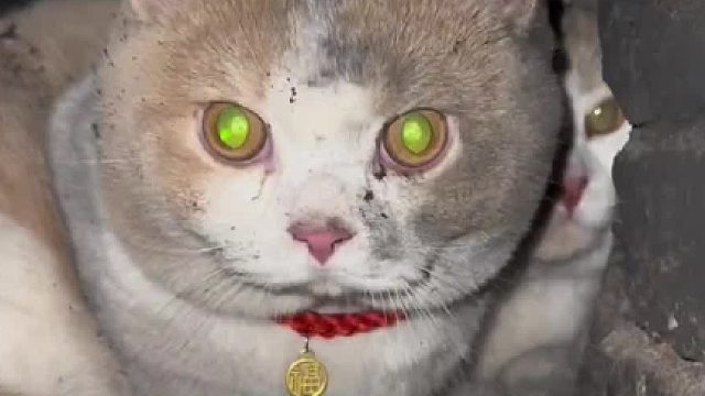 生火时先捅一捅