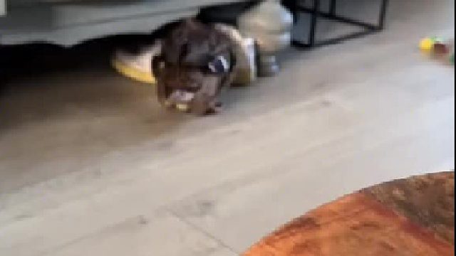 咳两下子没破吧！