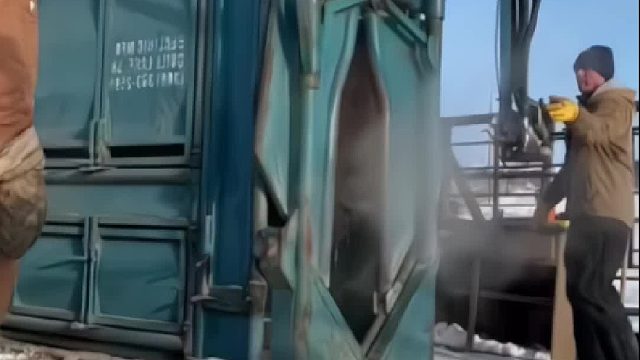 老虎真能单杀这玩意吗？