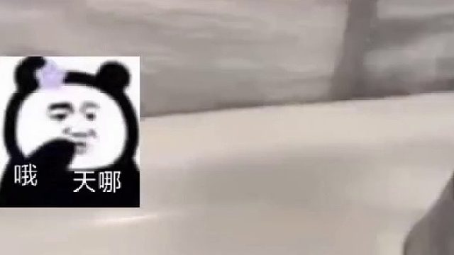 蚂蚁：画个圈圈诅咒你