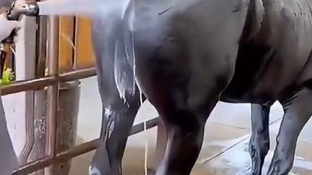 没事别这样搞容易出人命