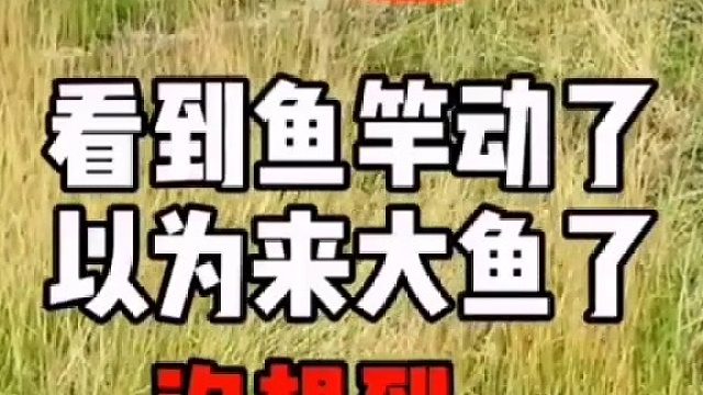 你过去把鱼竿要回来呀