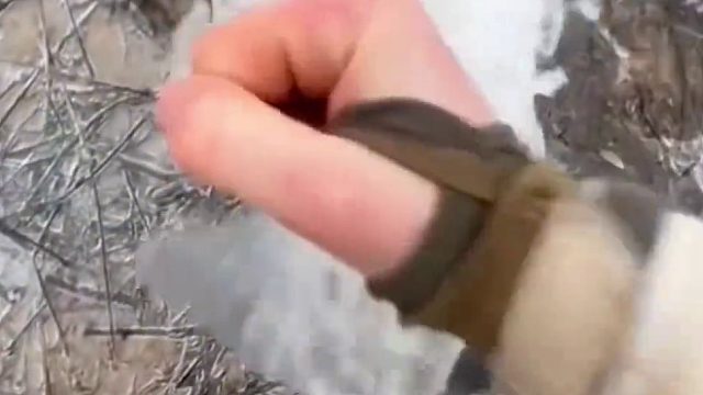 请叫我活雷锋吧