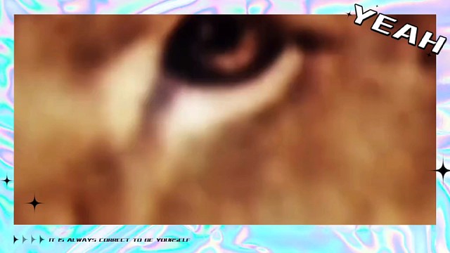 如何应对忘记引援军的情况？