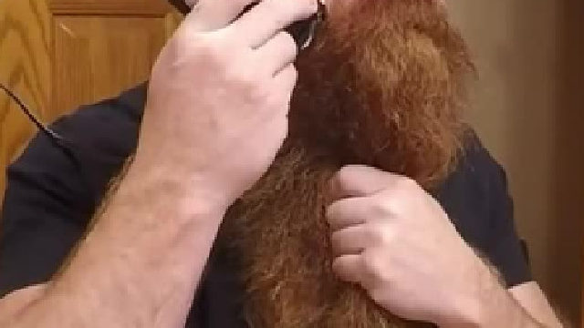 这至少留了十年了吧