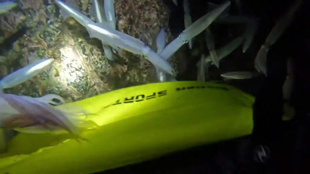 这跟捡钱一样啊