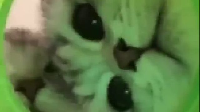 啊啊啊血槽已空！这也太可爱了吧