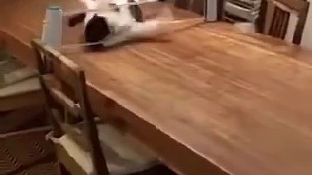 不公平不公平，为什么你只帮那一边