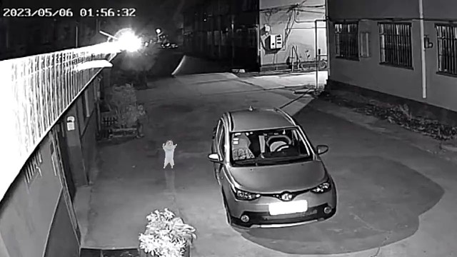 午夜被眼前一慕惊呆了