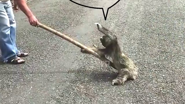 都来学保命的知识