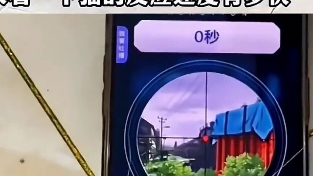 所以猫经常在作死的边缘疯狂试探！