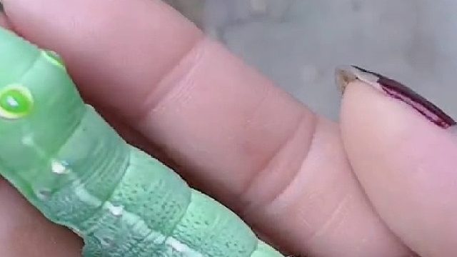 我若拿出这个。阁下该如何应对！