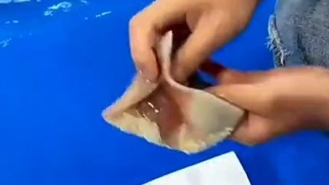 这肯定是淄博海洋公园~~