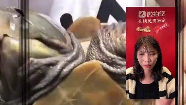 这你也玩，牢底坐穿龟，赶紧放了