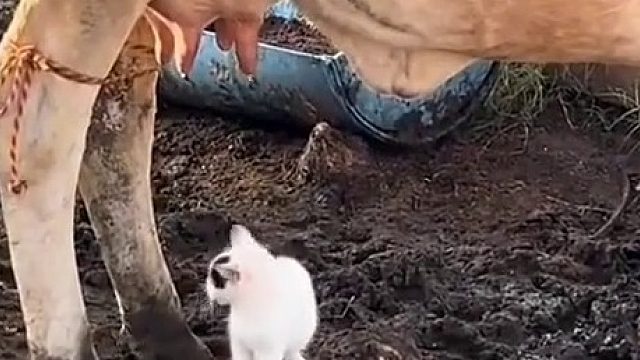 这泼天的富贵终于轮到我了。