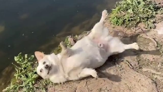 幸好按下了暂停键！