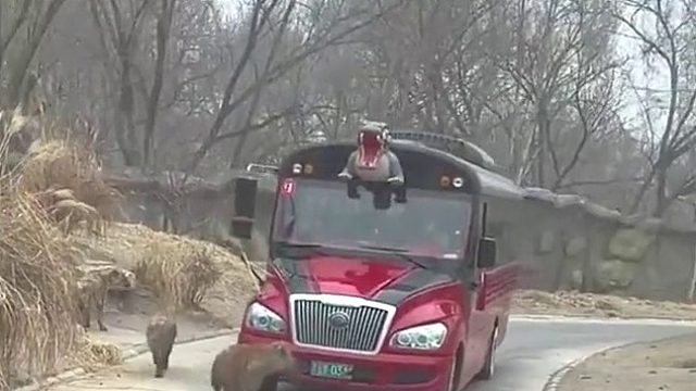 主任果然是主任掏的位置都是一绝