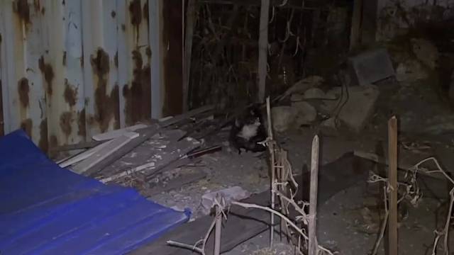 短暂相遇，多了一份牵挂