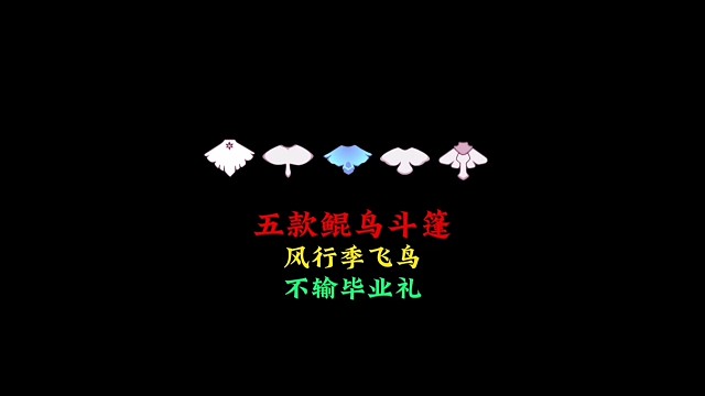 五款鲲鸟斗篷对比：风行季飞鸟斗不输圣岛毕业礼