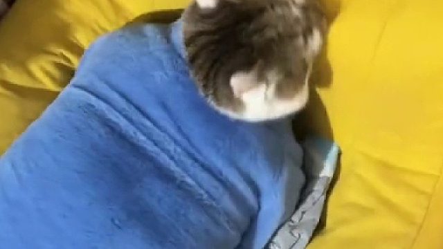 宝宝你是一个矿泉水桶