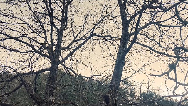 来到虎牙的第6天