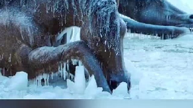 气温骤降，北半球出现极寒天气，多地小动物被冻成冰雕