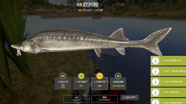 562k星鳇起鱼视频