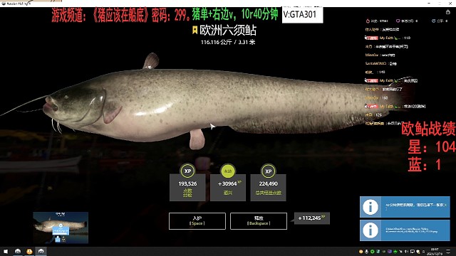 又是一条早班7点星猪